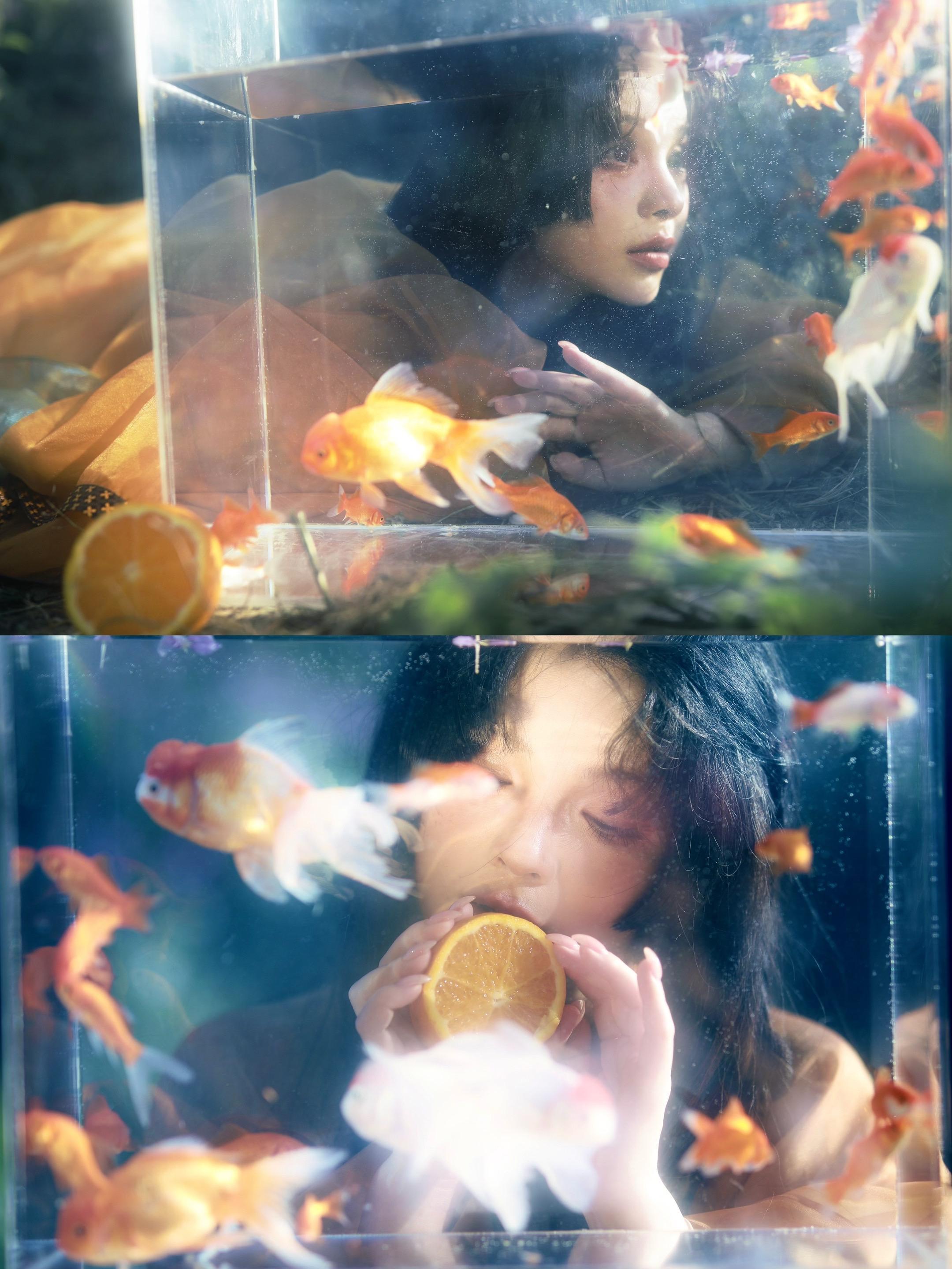 “鱼在水中游，是尾也是头”