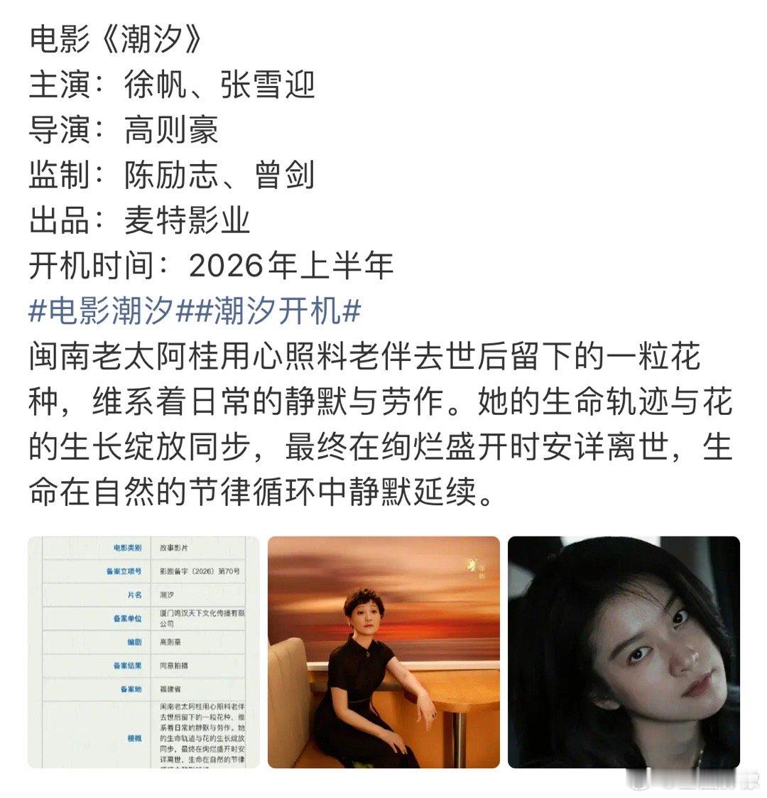 麦特是真有钱年年拍一堆小投入电影，这种题材妈妈养女儿，一老带一小，再配合陈励志这