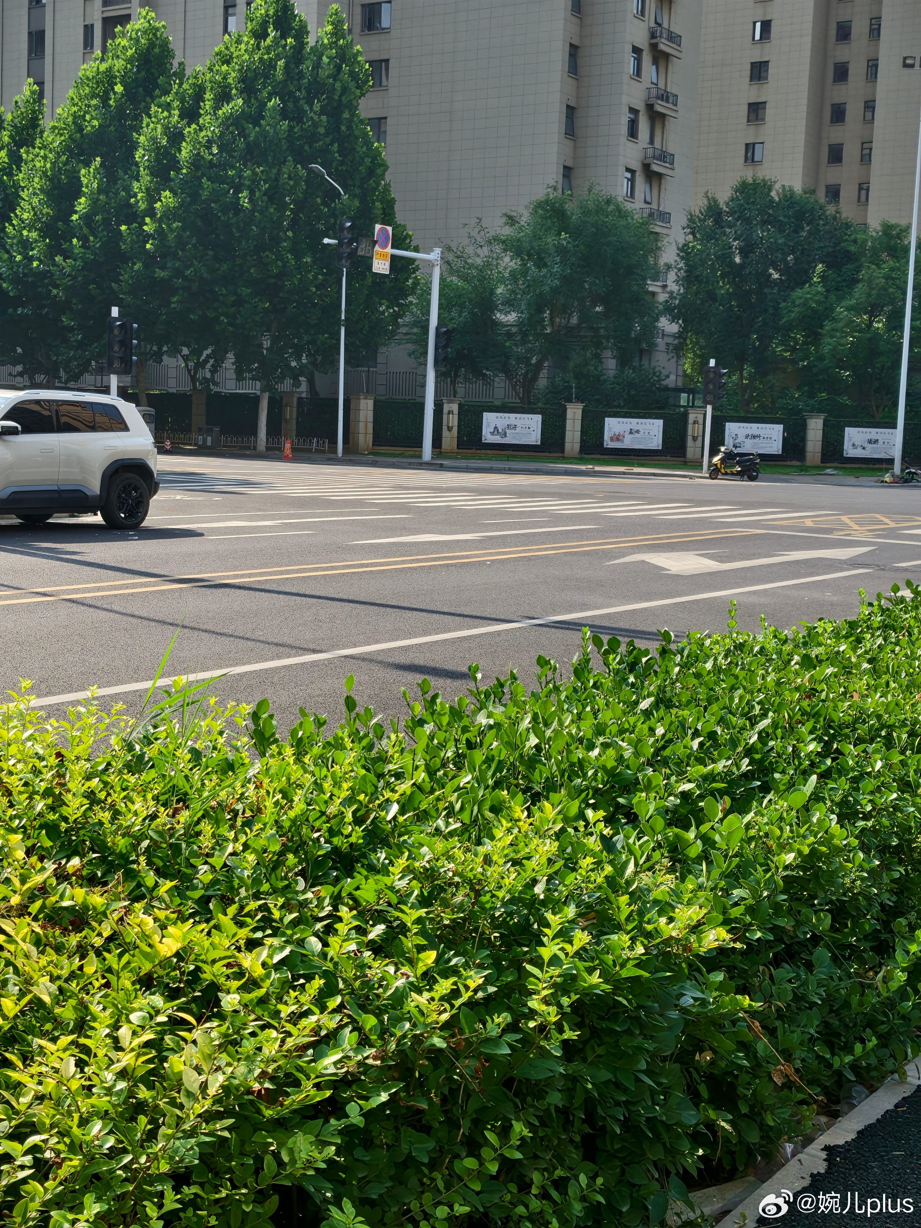 河南到底为什么这么热