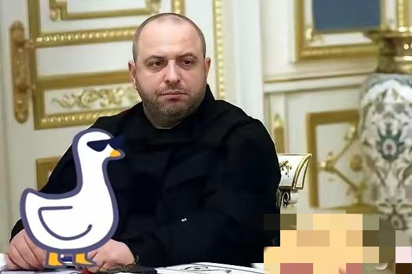 乌克兰代表团团长表示了！
​当地时间17日，乌克兰国家安全与国防委员会秘书、乌克