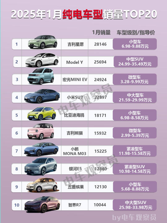 2025年1月纯电车型销量排行榜TOP20