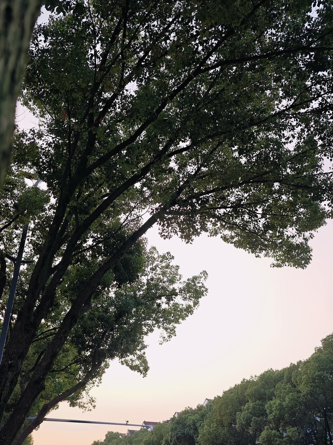 教培以前不需要招人
还能选人，挑人
现在的教培市场已经变天！
线上引流也处处限制