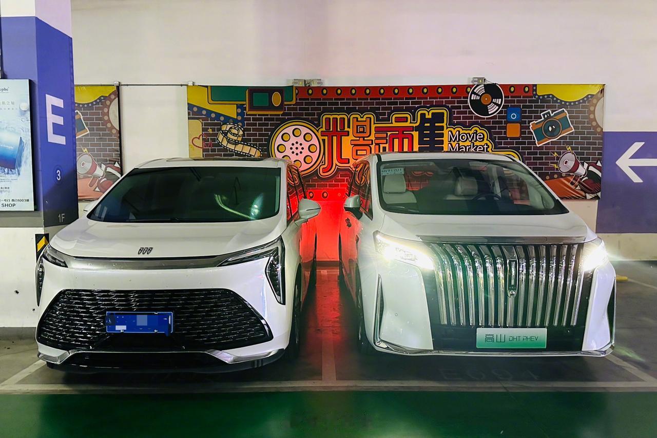 魏牌高山🆚别克世纪～出来吃饭偶遇一台世纪，两种不同风格的豪华MPV，你觉得大嘴