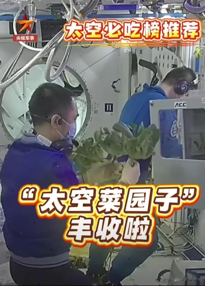 厉害了我的国！
居然把太空当做菜园子了，
航天员在太空舱里面种植蔬菜取得成功。