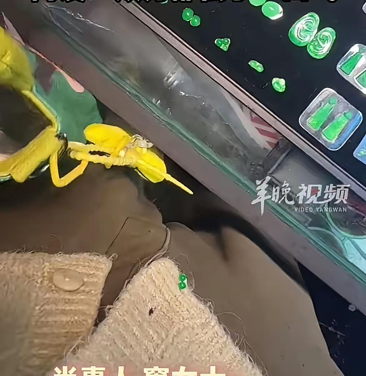 换个角度来看，如果有监控监控到了是她粘走了翡翠，而她又是在不知情的情况下，在路上