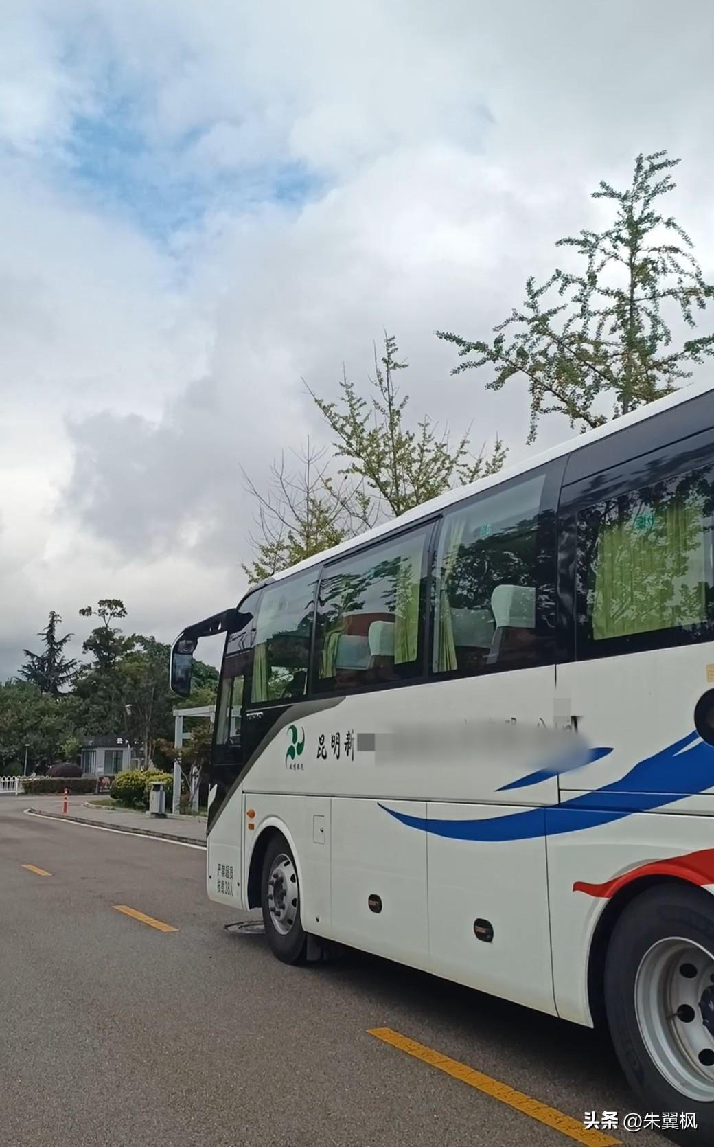 每天看见一车车旅游大巴把人输送进来，心里还是十分高兴。有客流就有动力。昨晚去表姐