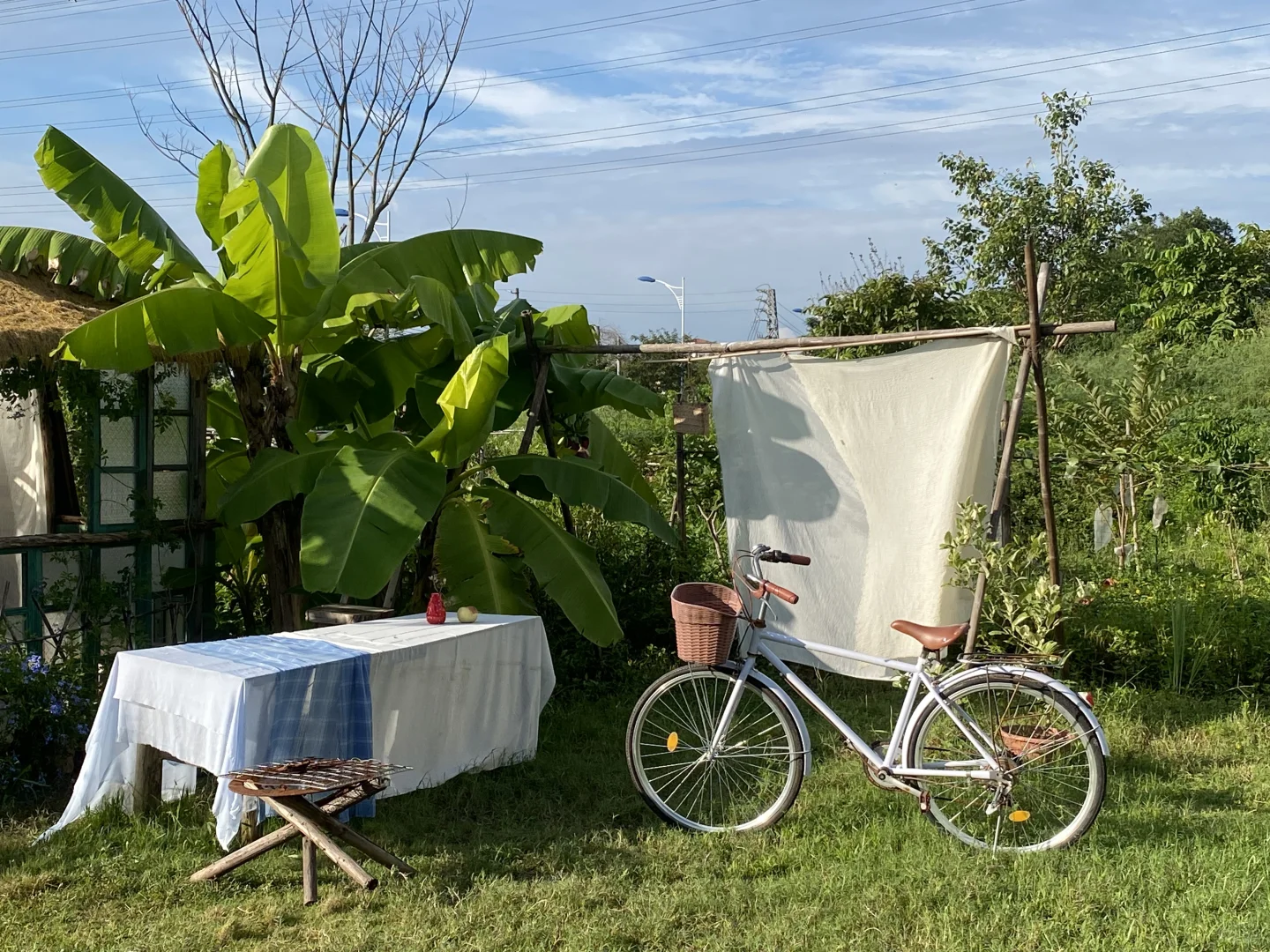 天气好极了