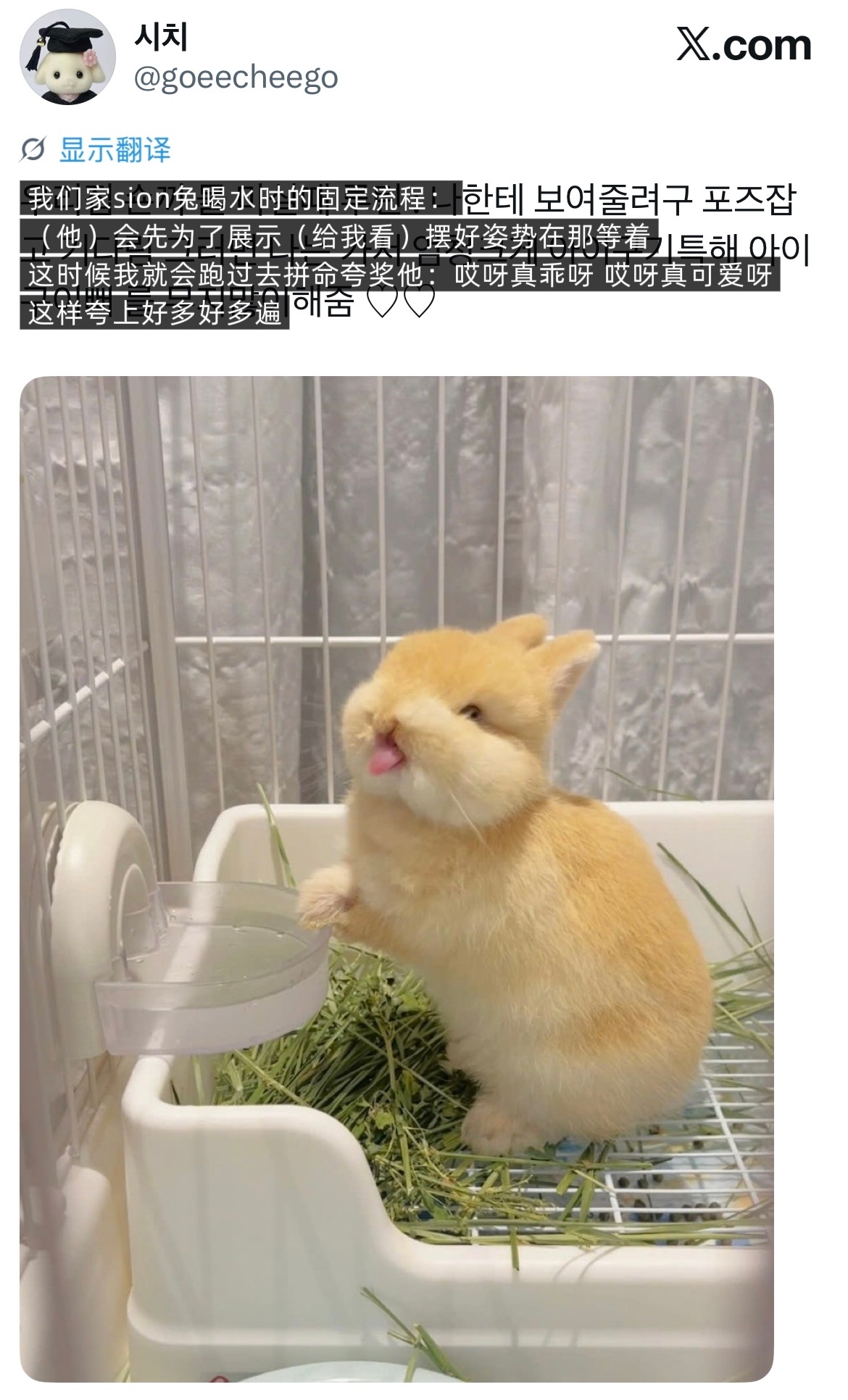 【tg】哎一古 
