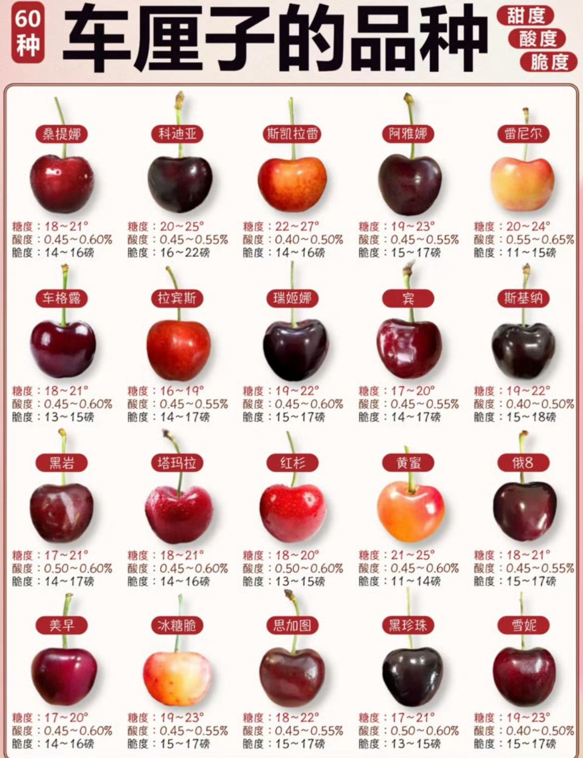 为啥车厘子1个月到中国都不腐烂大家能吃到的品种，有好有坏！ 