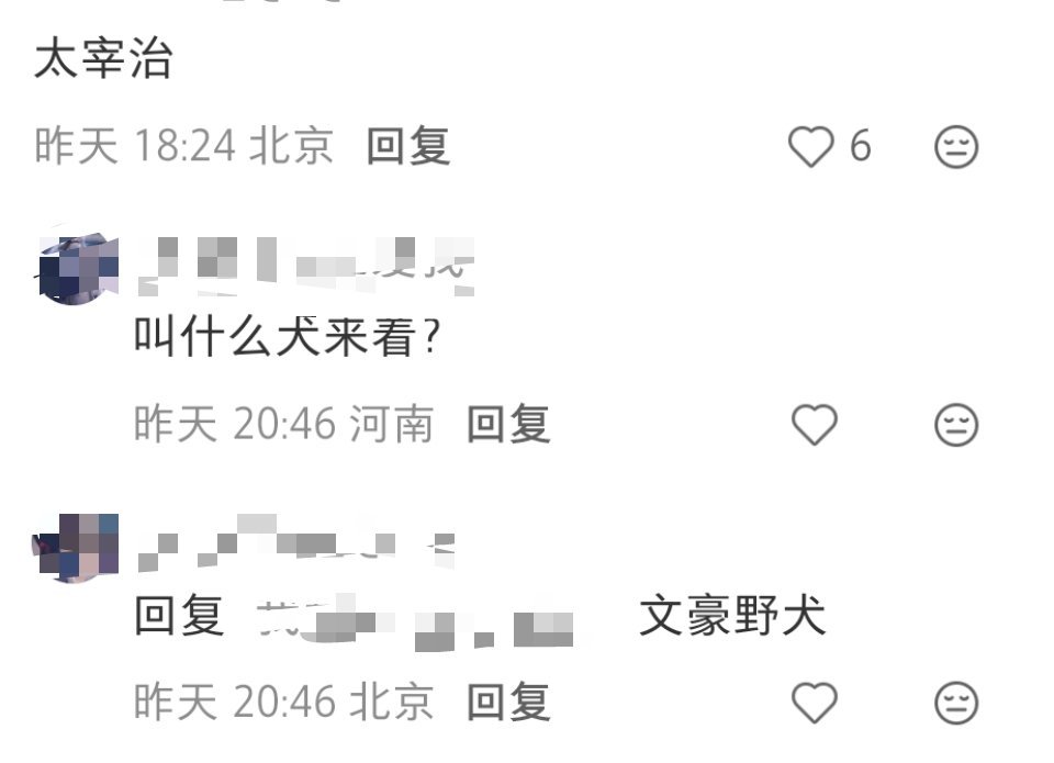 我要笑死了！又是问人气＞ip的角色，然后太宰治这只小黑猫又帮某犬宣传了