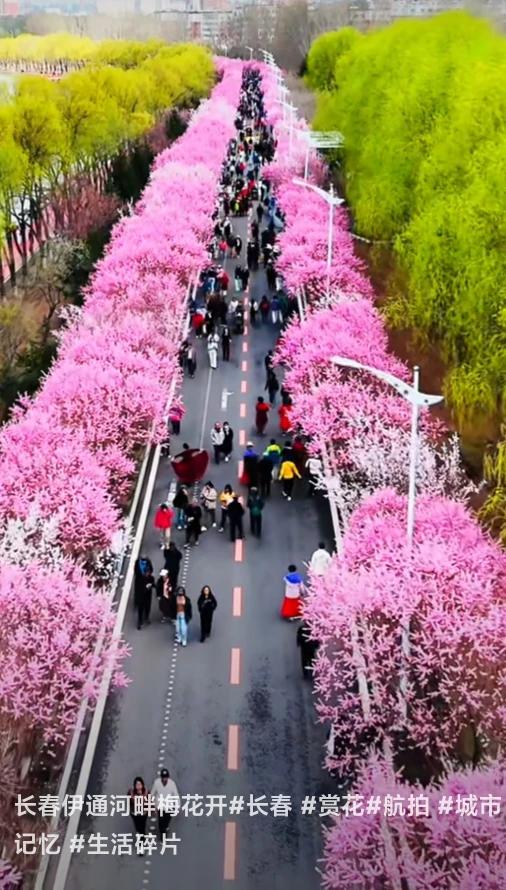 南方人真不知道东北有多大。告诉你一个实例：从东北南端的大连，到最北端的漠河，距离