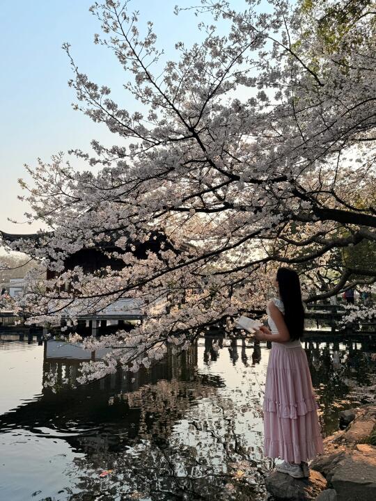 杭州最美赏樱地大集合（附地址🔗）