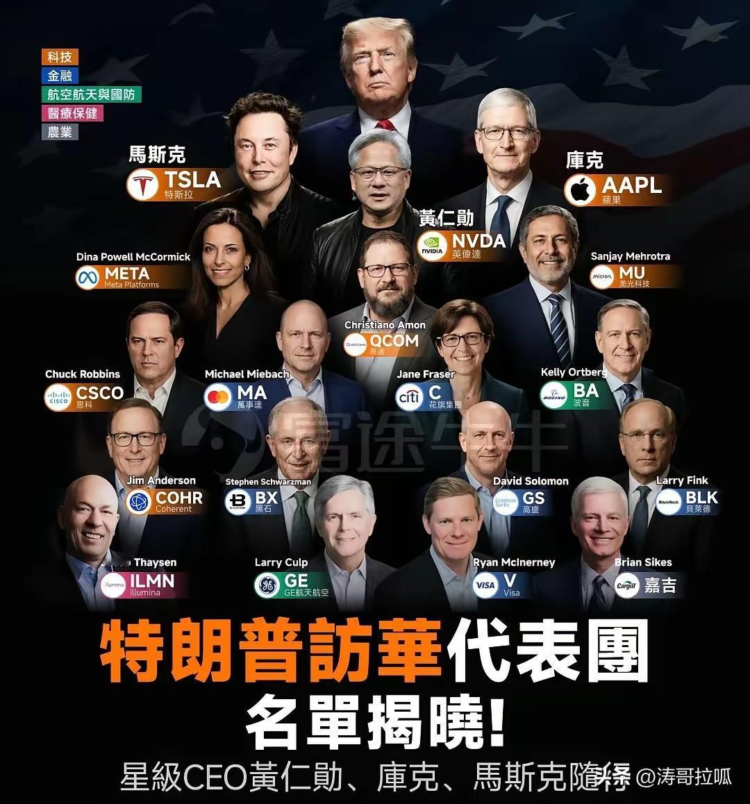“特朗普访华代表团”主要成员。

1. 核心主题与人员构成

* 带队人：唐纳德