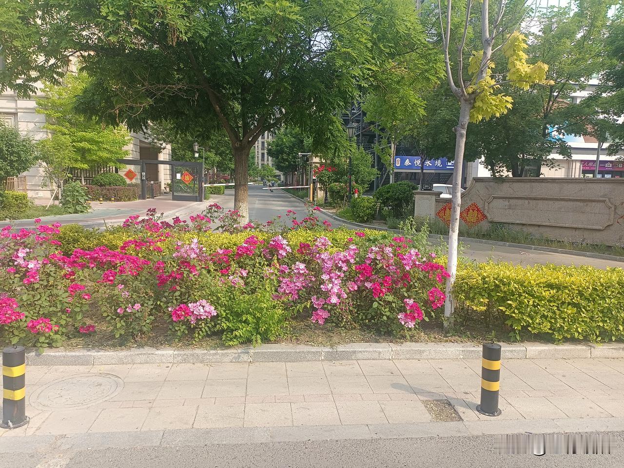 谁年轻的时候没踩过坑、办过糊涂事？阅历、眼界、处事方式都是慢慢打磨出来的，没有人