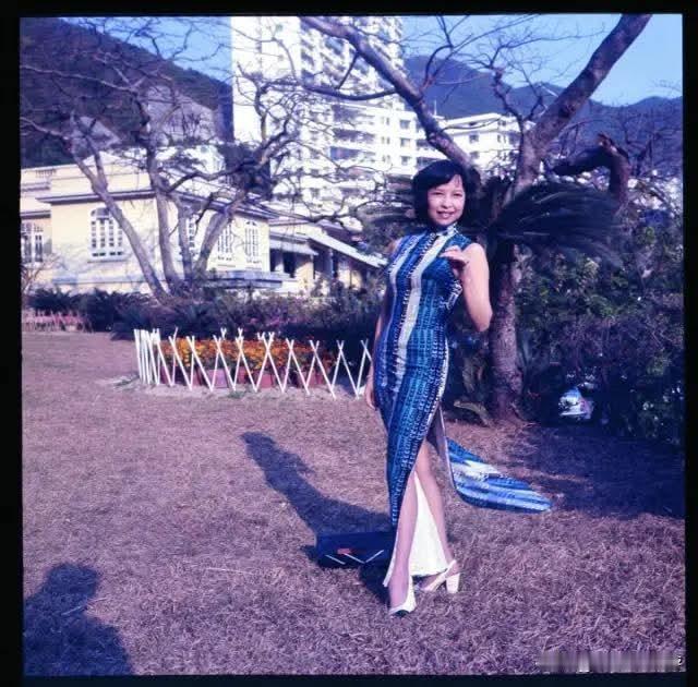 奇女子狄娜的传奇一生
 
狄娜原名梁帼馨，1945年生于广东兴宁，2010年于香