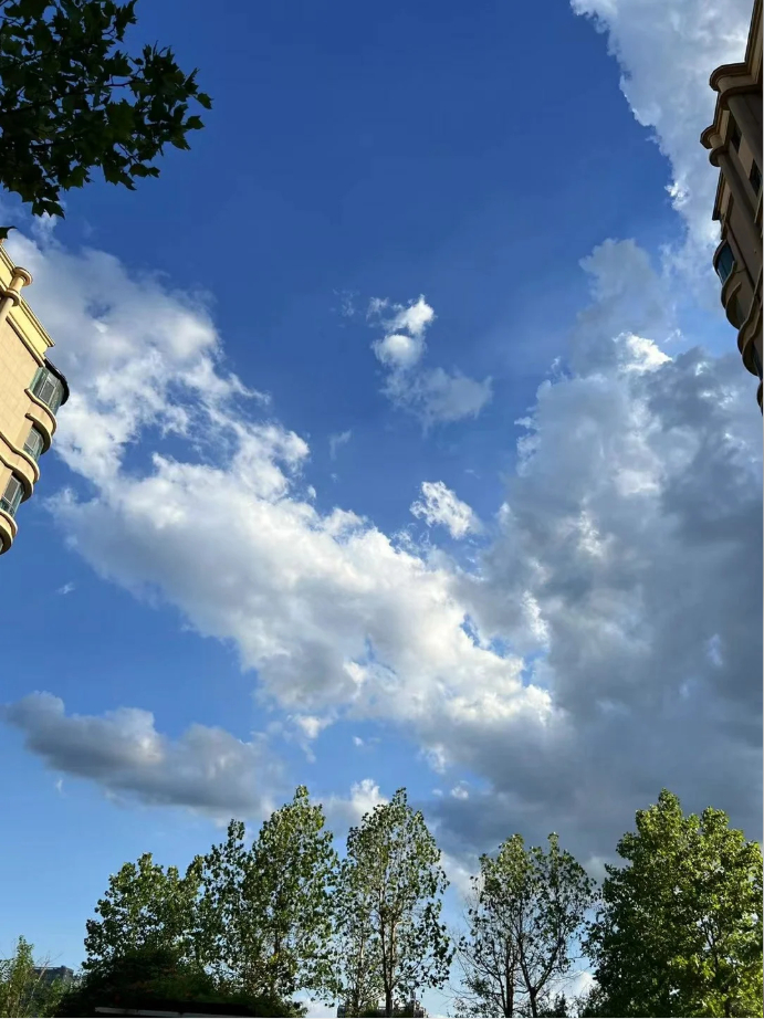 天气不错，心情都要好点，别忘记站起来伸伸懒腰[举花铃] ​​​