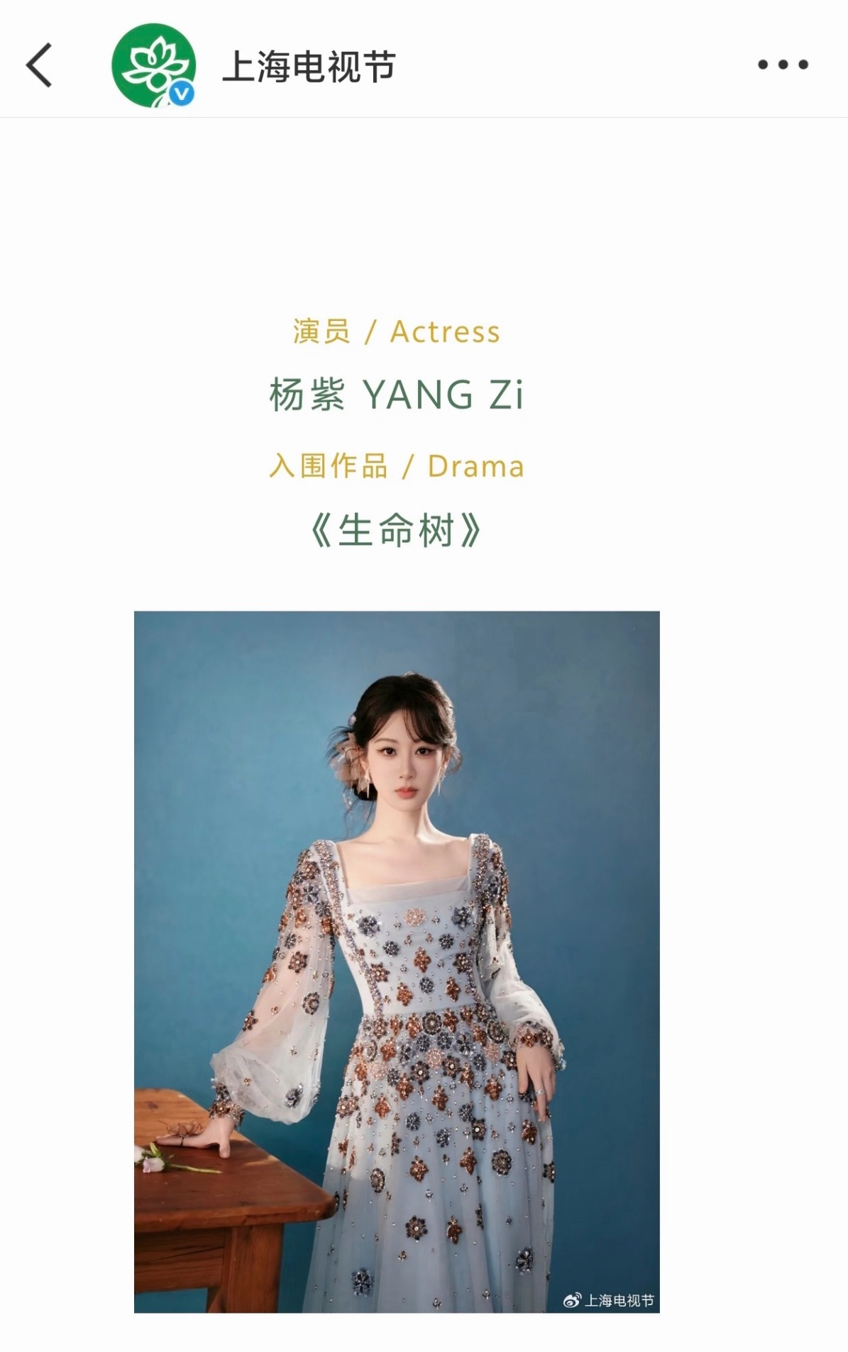 杨紫白玉兰奖最佳女主角提名正式公式照 