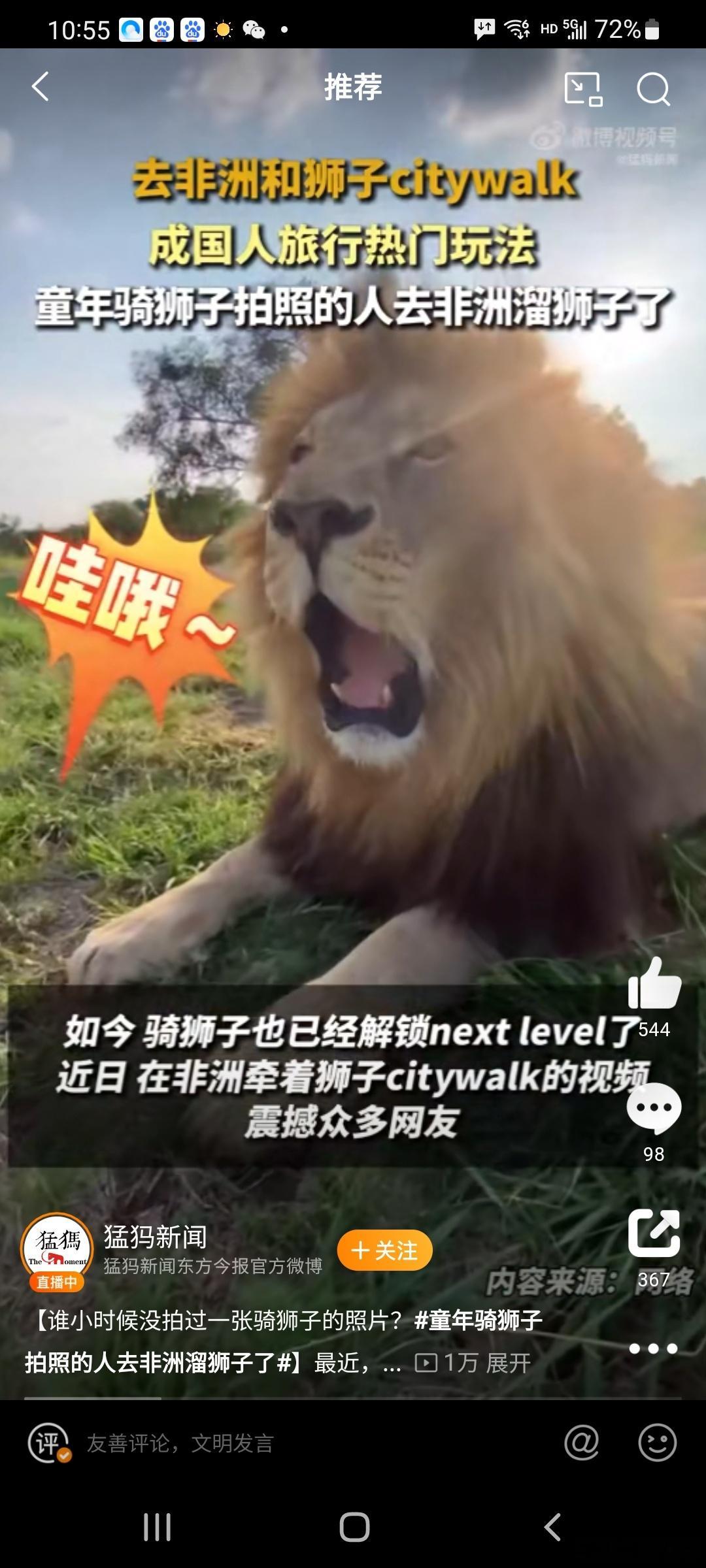 #童年骑狮子拍照的人去非洲溜狮子了##去非洲和狮子citywalk成国人旅行热门