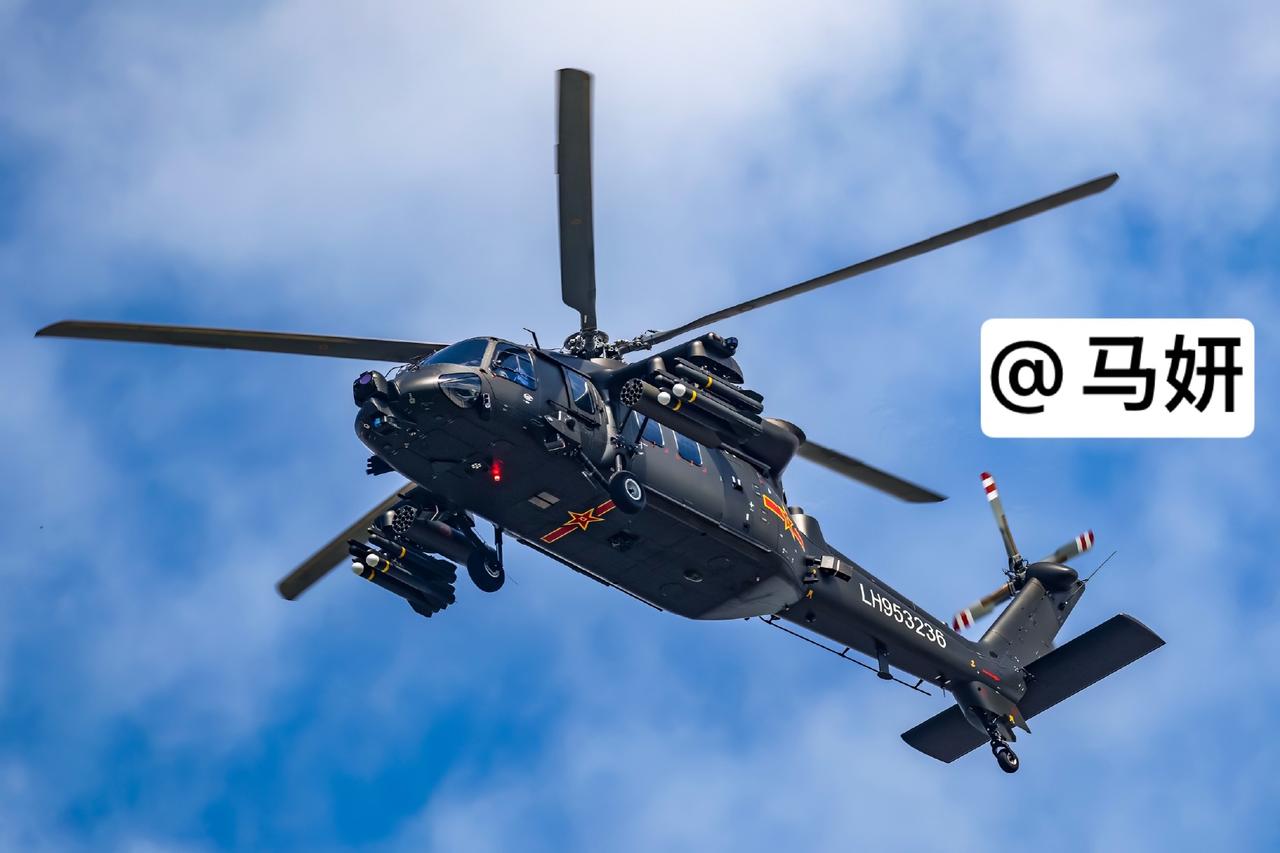 为啥有了武直-10还需要它？其实它是“全能选手”——打仗时专业武直忙不过来，它能
