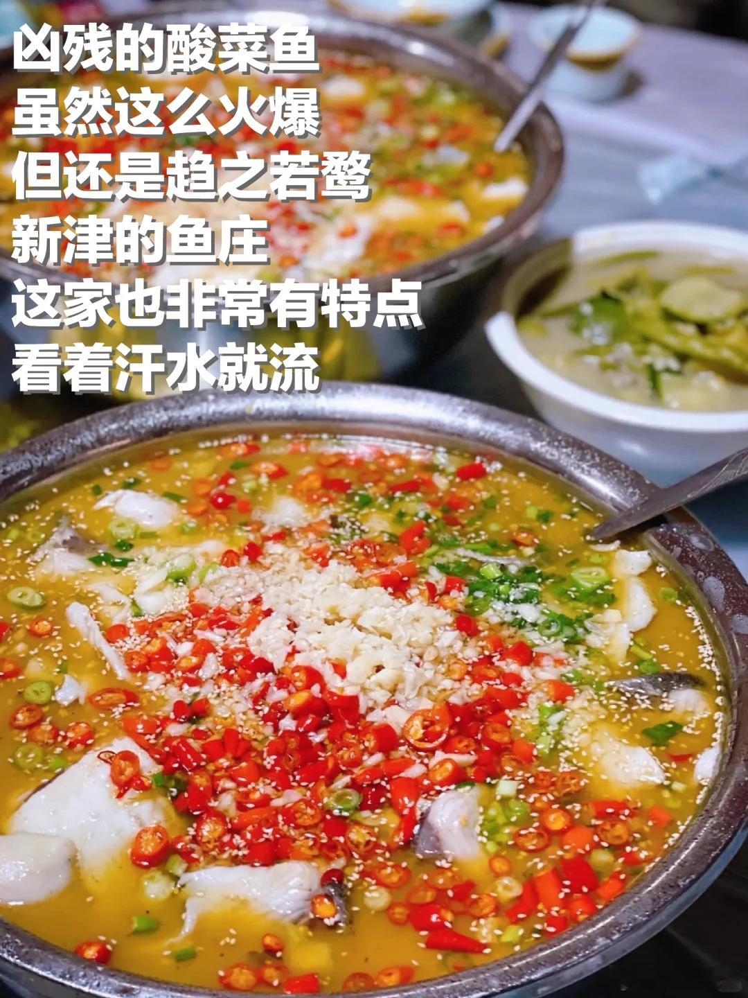 成都美食推荐·新津·宋家黄辣丁砂锅血旺肥肠黄辣丁的梦魇就在新津，从野生稻养殖，从