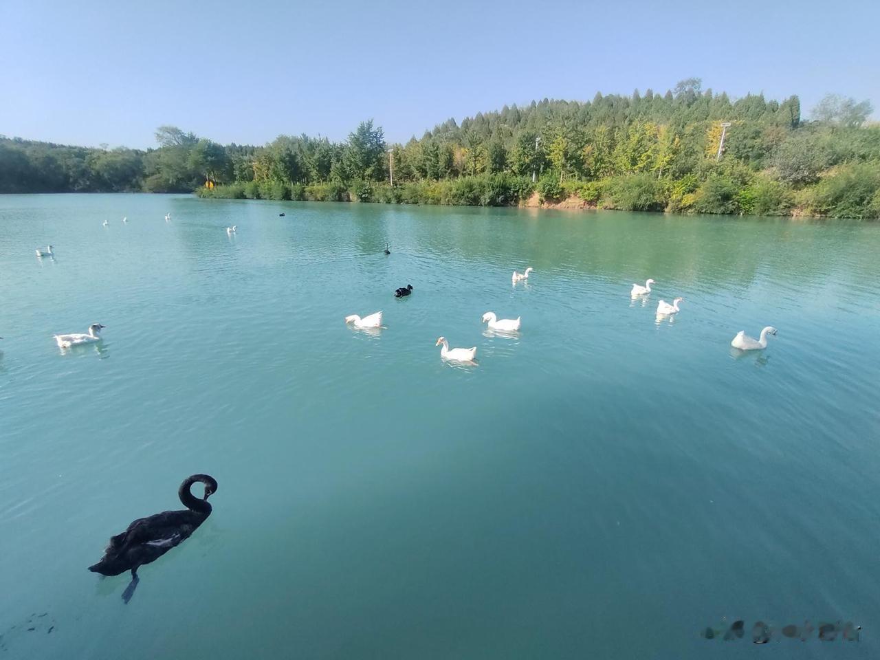 加拿大降半旗，悼念遇难者。

加拿大于2月11日起降半旗7天。

2月10日，加
