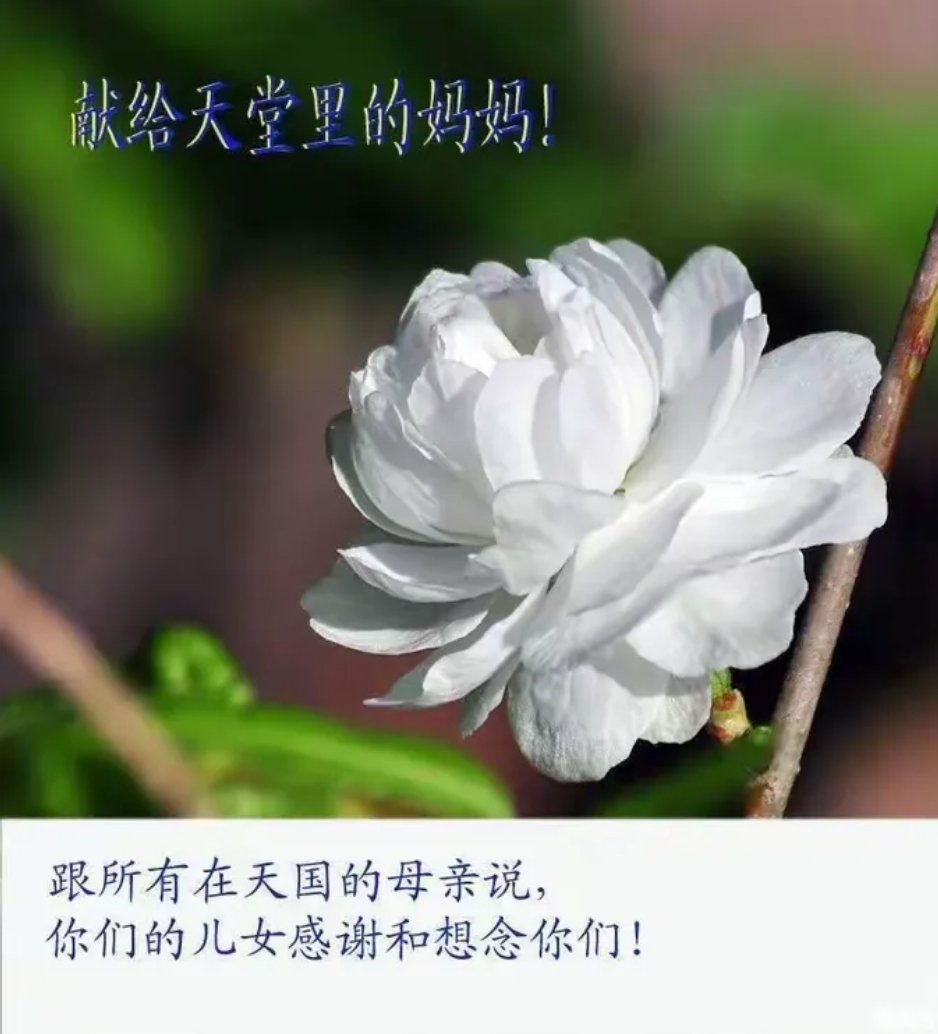 妈妈去世第四年翻到她朋友圈转眼妈妈已经离开第四个年头，深夜点开她的朋友圈，旧文字