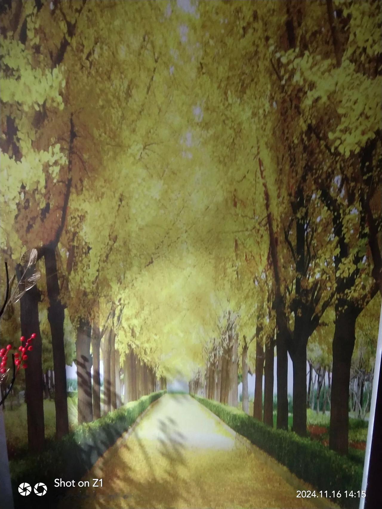 秋叶落满径，静谧入画来。
人在林中走，宛若画中游。