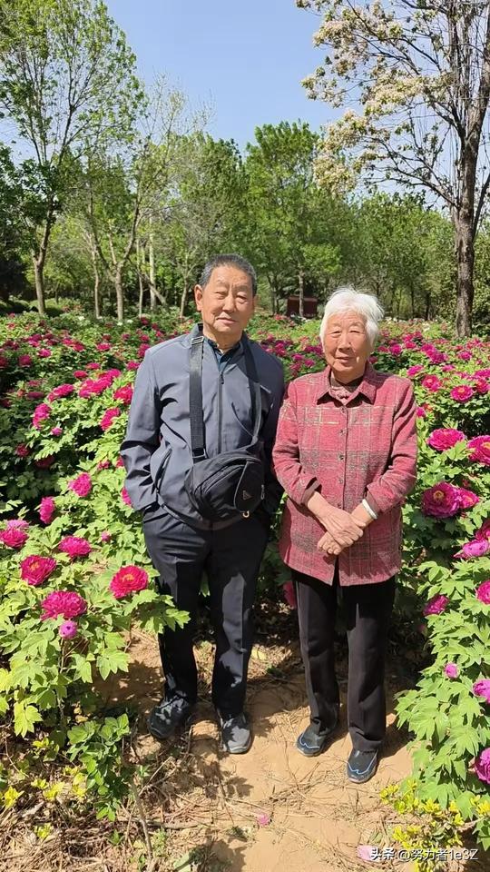 父母年迈已八旬高龄，但身康体健，从太原到洛阳，一路巅波，但心情颇好。
园内繁花似