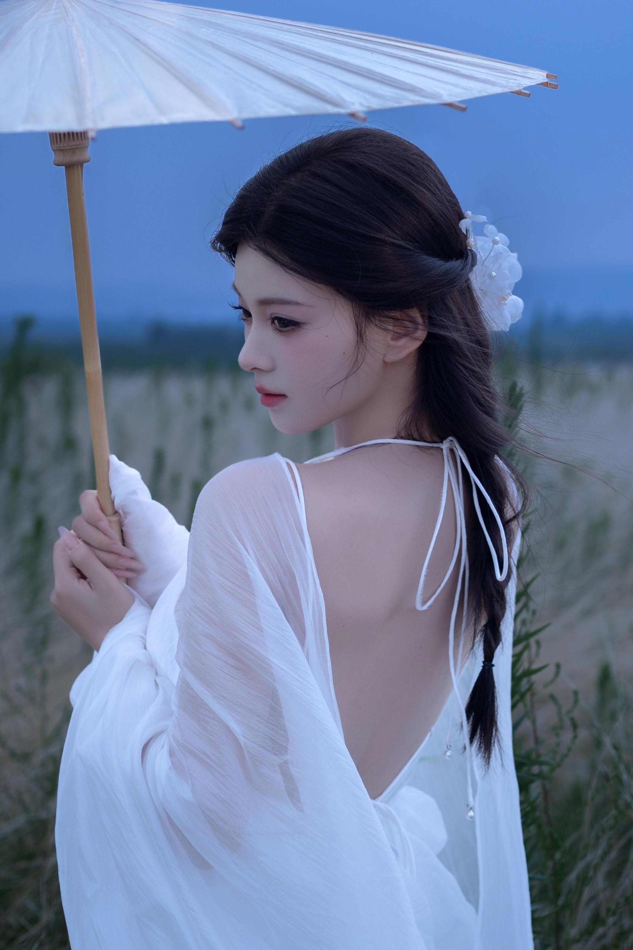 风是自由的你也是。
