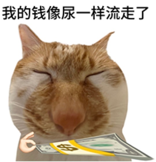 终于实现经济自由了，钱全都跑了！ 
