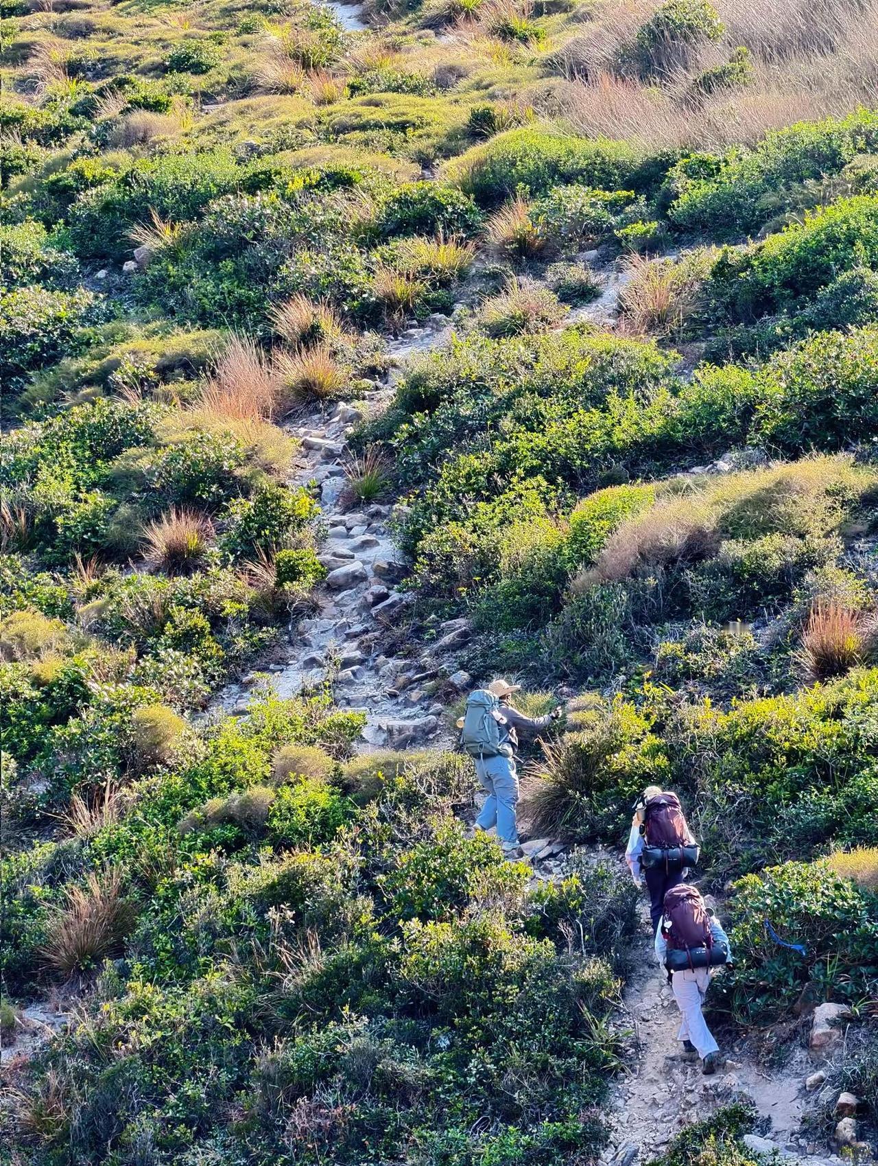 喜欢娓娓道来的温柔日常  带你来一场短暂私奔！