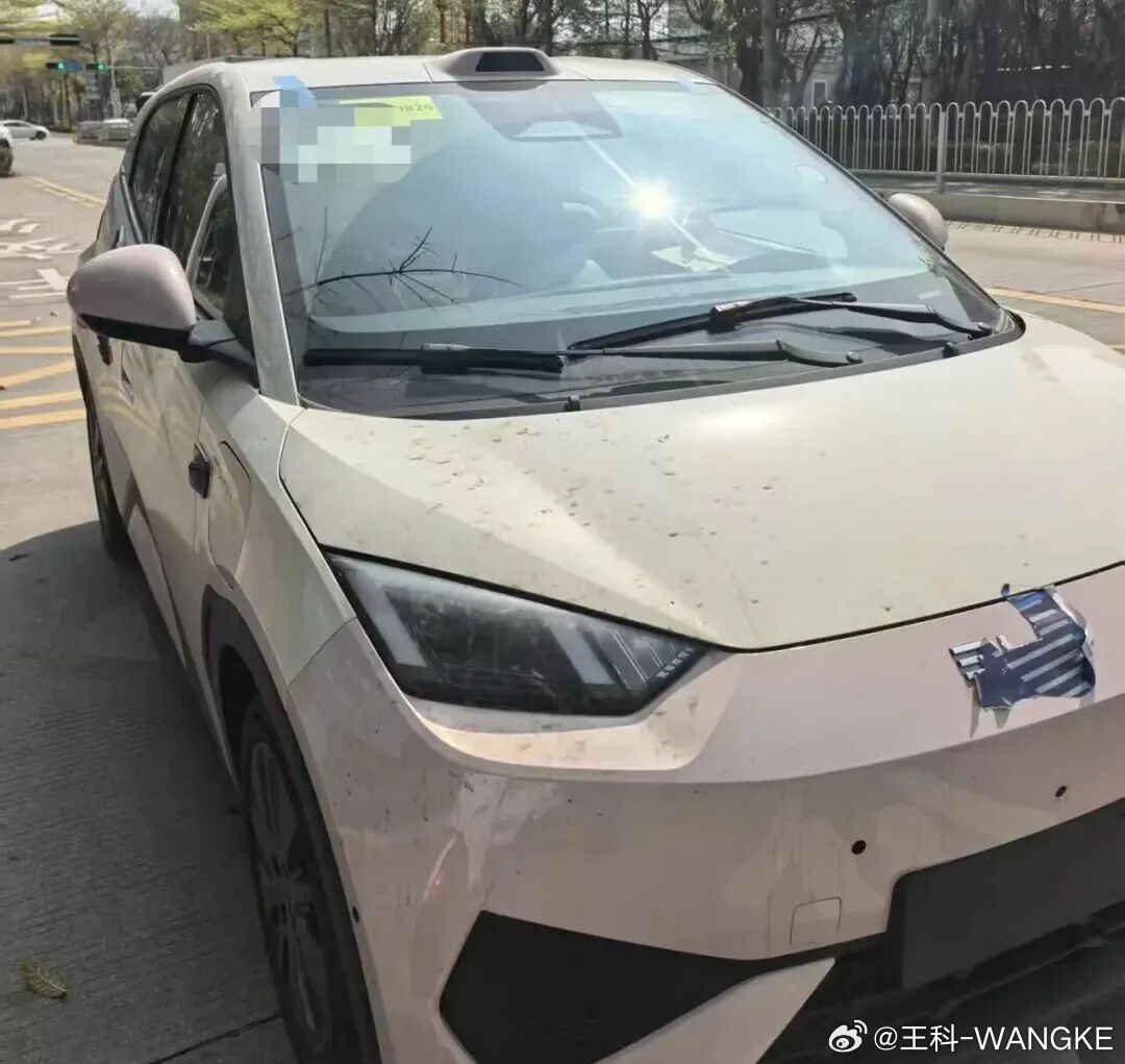 真的不敢相信！！比亚迪海鸥！带激光雷达！你受的了吗？大v聊车