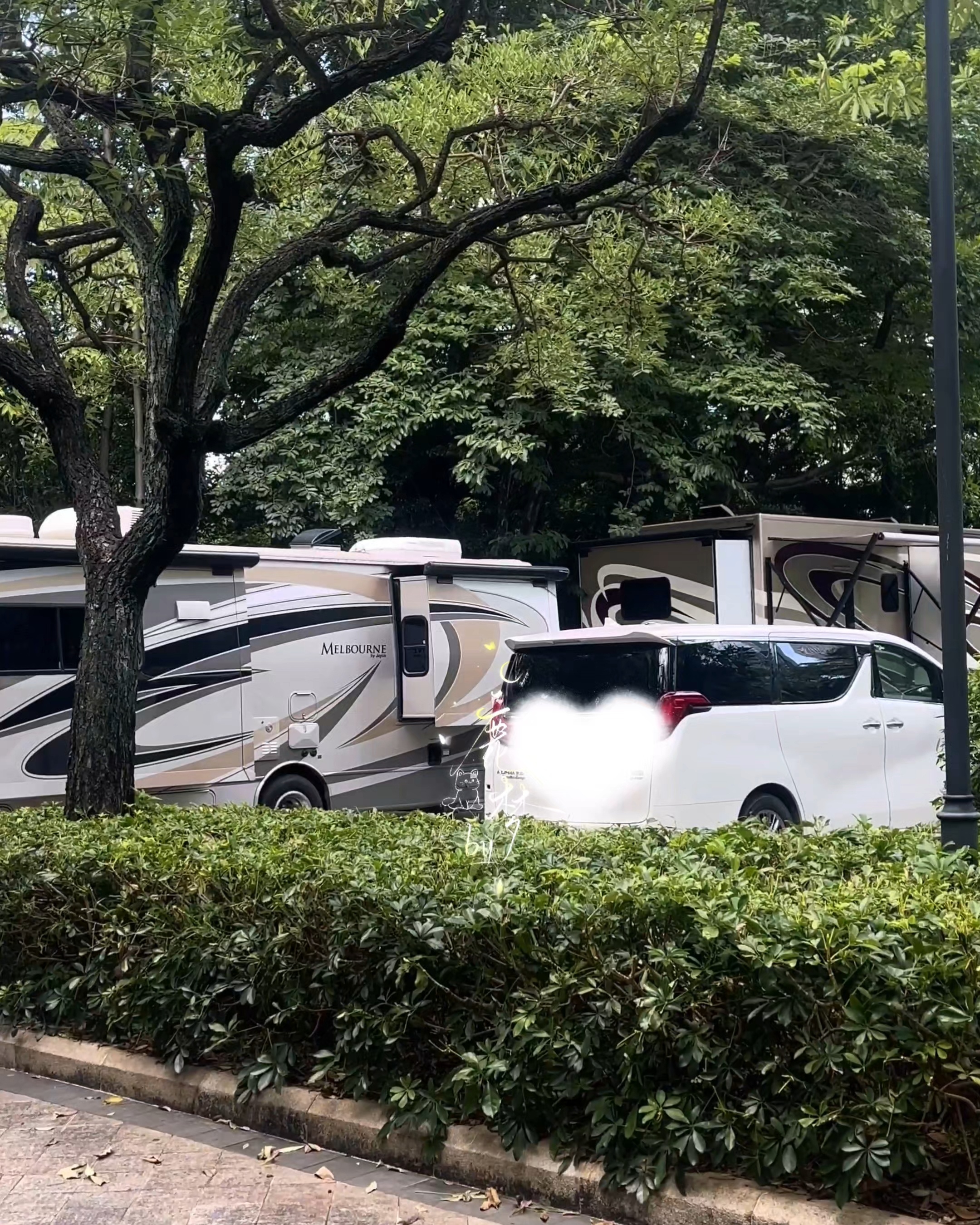 来迟的比心送上七夕快乐白鹿开到荼蘼 .白鹿王韵娜