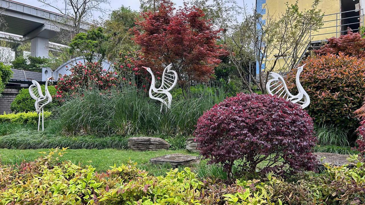 分享一张你相册里的花草照片上海马路边的花花草草，在春雨绵绵之中生机勃发，一派欣欣