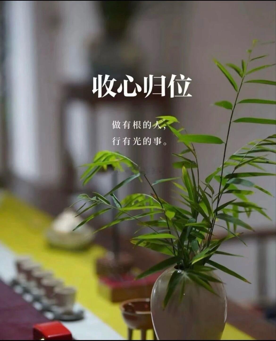 修行最大的误区：只修心性不修身，悟得再深也是空忙！高善文年纪轻轻就走了，他归结为