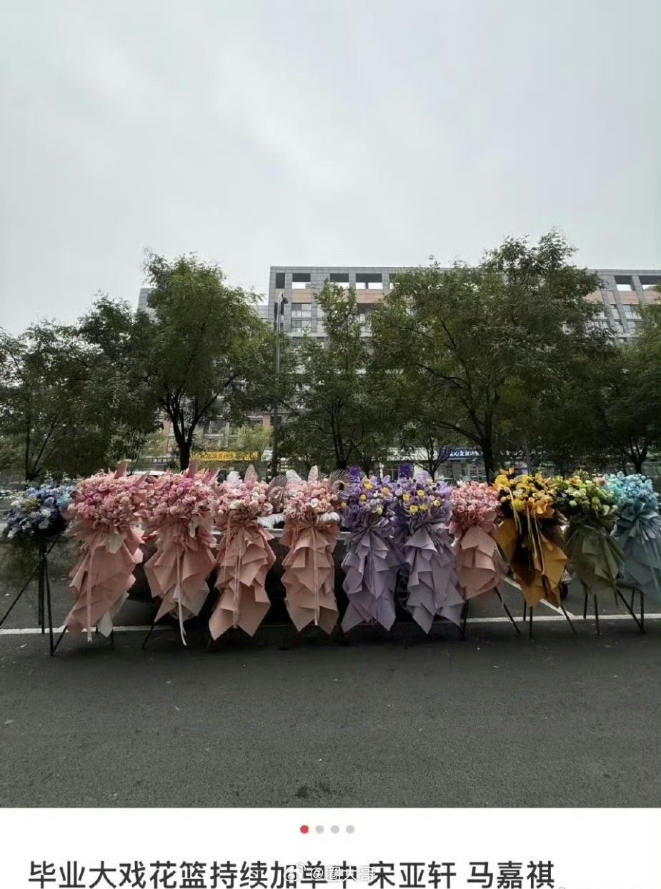 马嘉祺宋亚轩毕业大戏粉丝应援 排面马嘉祺宋亚轩毕业大戏应援 ​​​