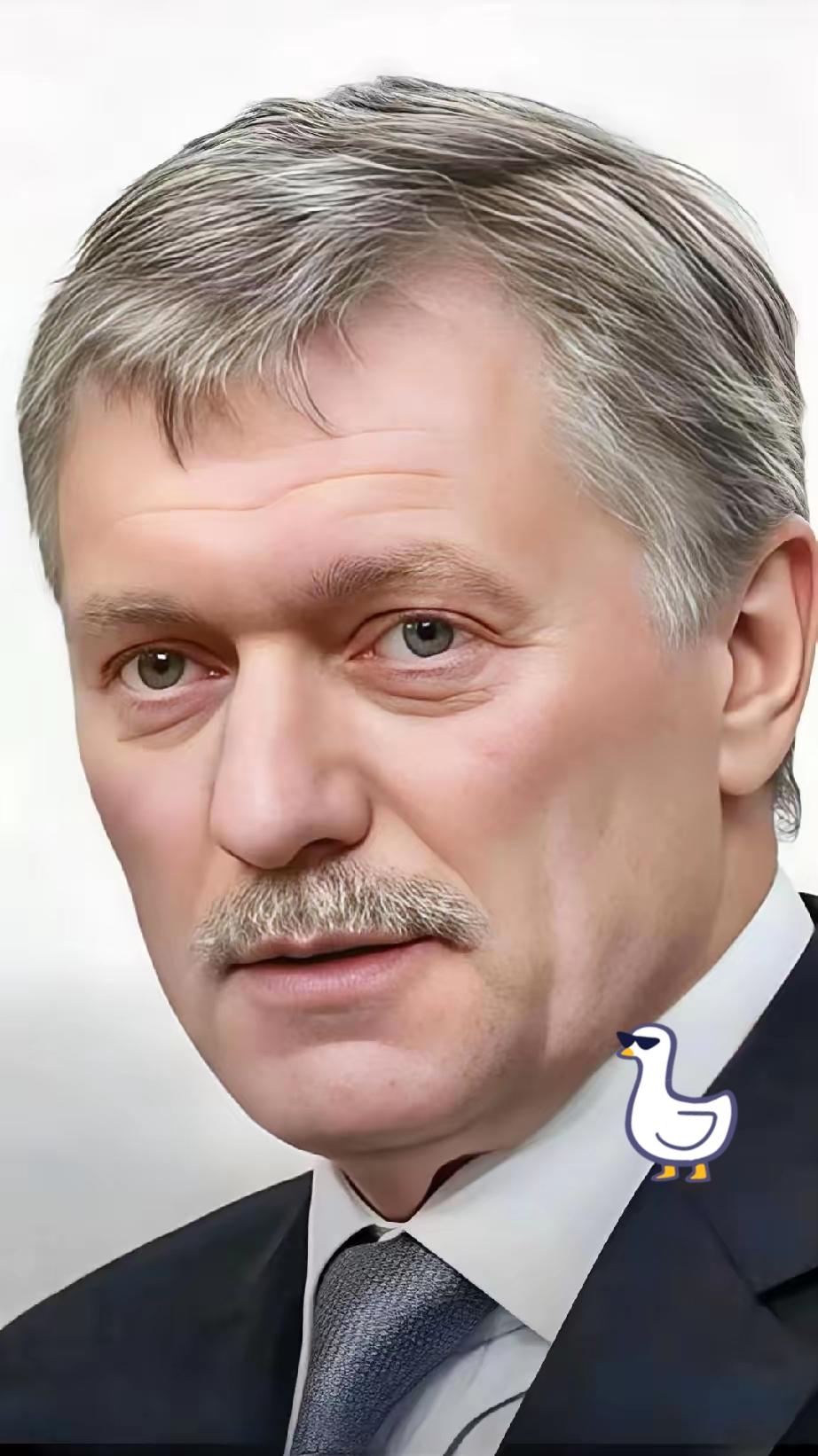 俄罗斯消息！
12月17日，俄罗斯总统新闻秘书佩斯科夫就俄乌停火谈判表态，俄方希