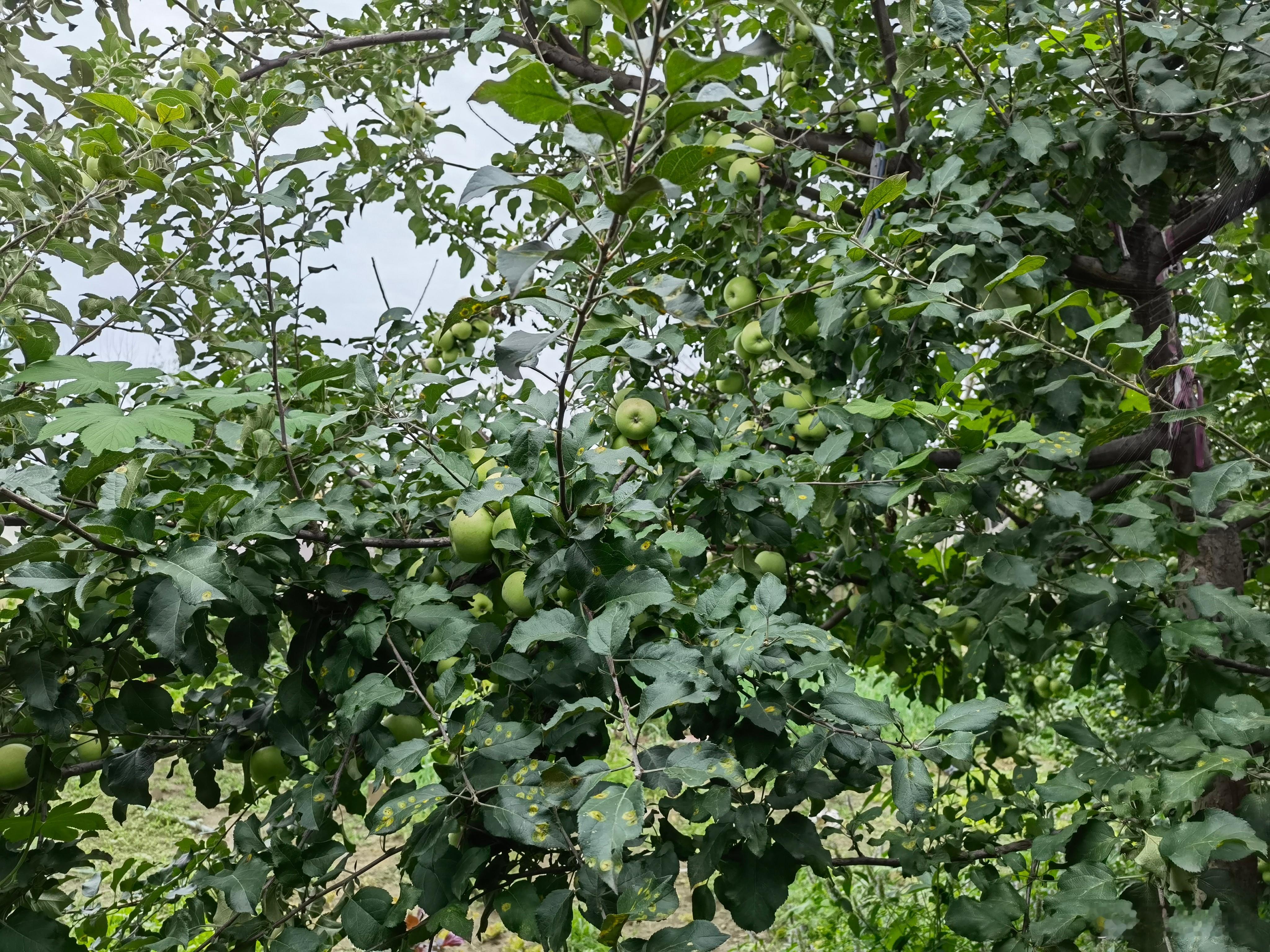 S-炒股的人，年轻，因为最讲究两条：    一是纪律，要严格执行一些基本规律性的