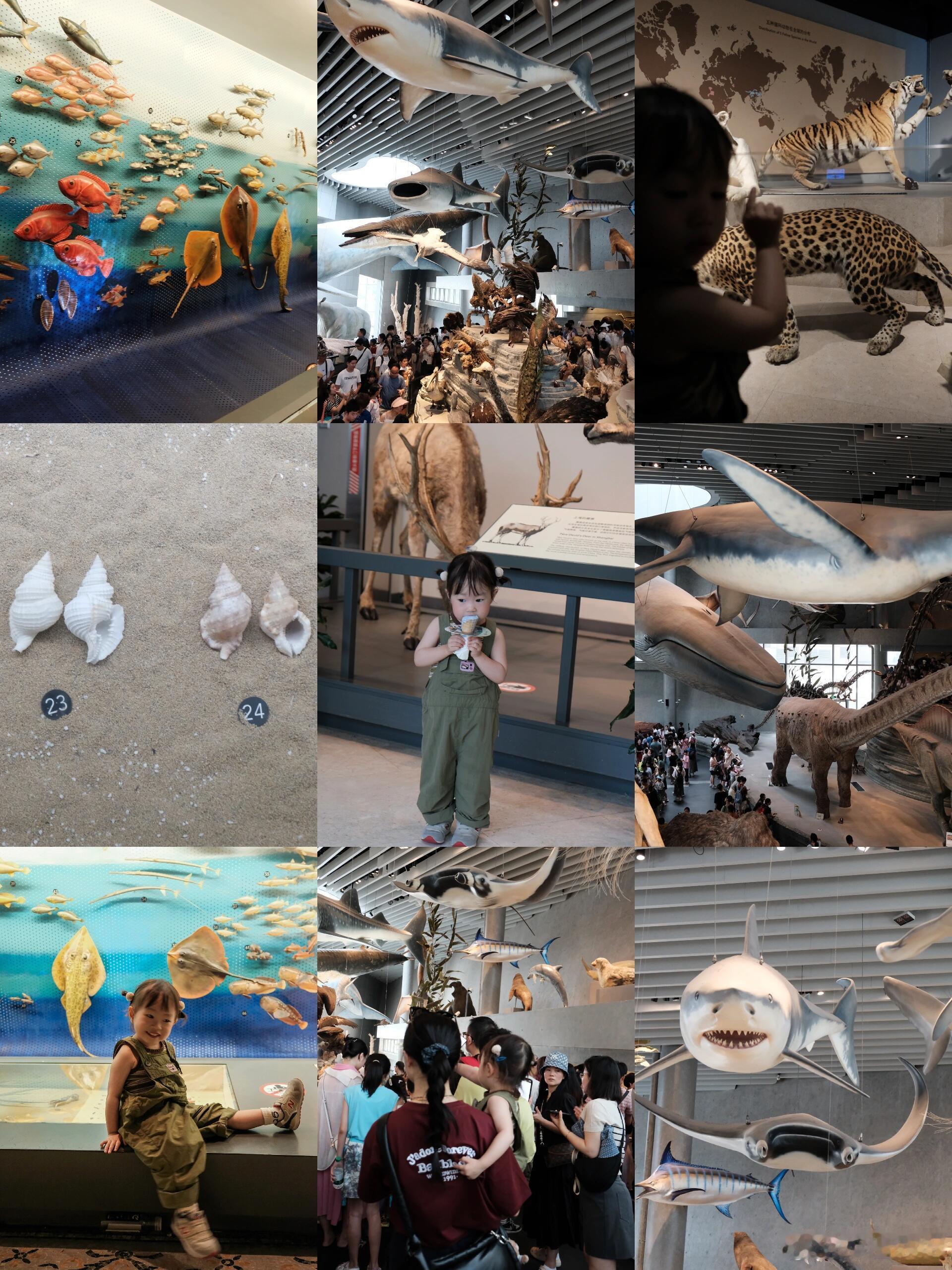 看展打卡、漫游博物馆重返恐龙🦕时代—上海自然博物馆超全攻略自然博物馆绝对是亲子