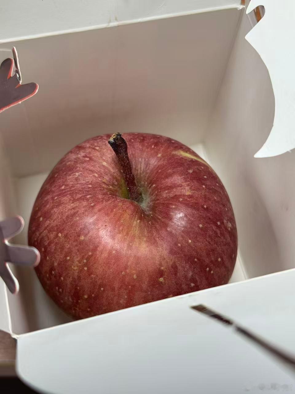 公司这儿的物业发的苹果礼物几栋楼的人每人发一个，还是有点贵想到以前读书那会，都要