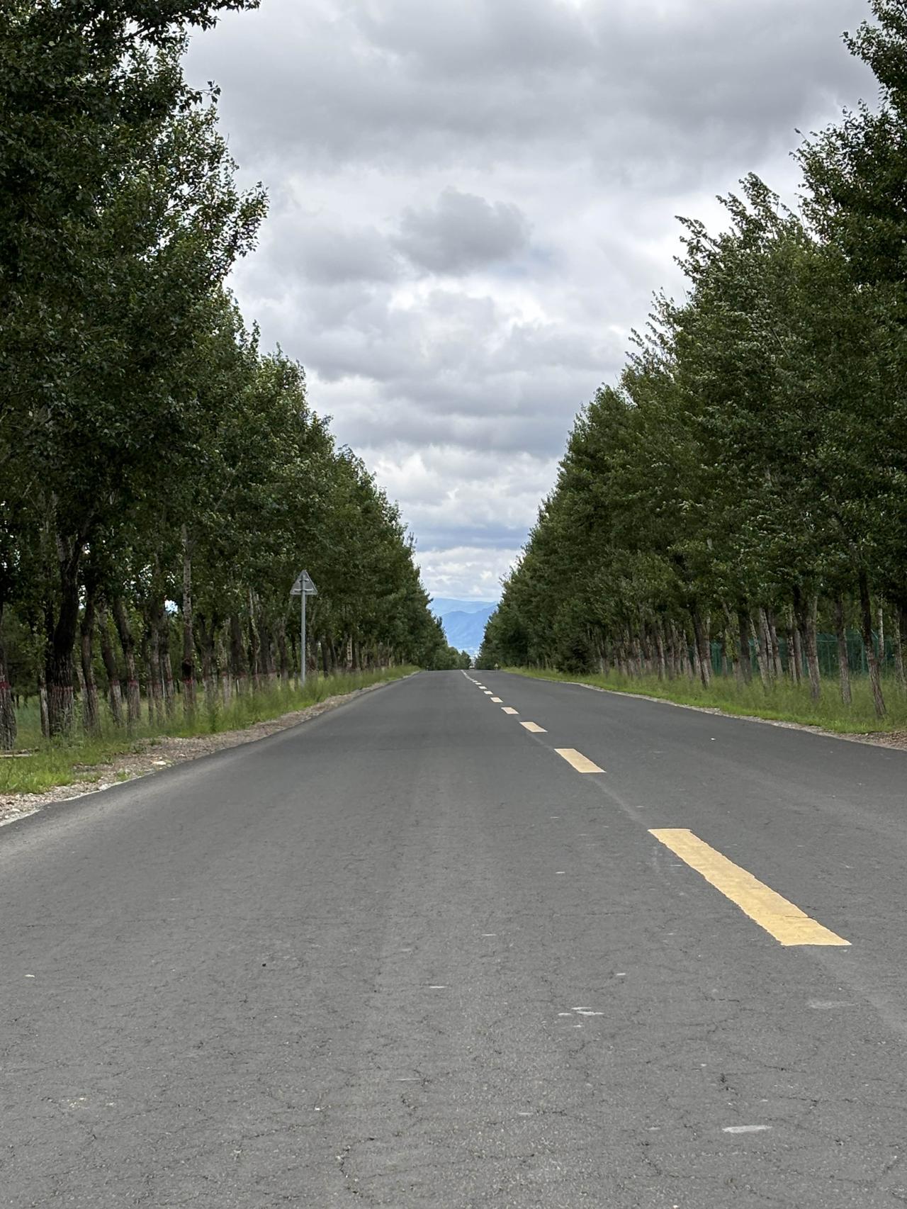 呼和浩特的万亩森林公园，在此刻铺展成一片层次分明的绿意长卷。
目光越过这鲜明的前