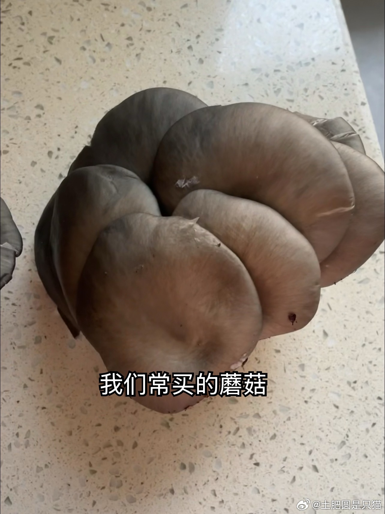 两个事要说：1.图一二三，我爸再次选中菜市场100年也卖不出去的菇，我妈说农贸市
