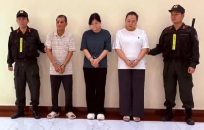 一家三口齐上阵，把中国产的电力设备换成加拿大身份，骗了越南电力系统整整三年，拿下