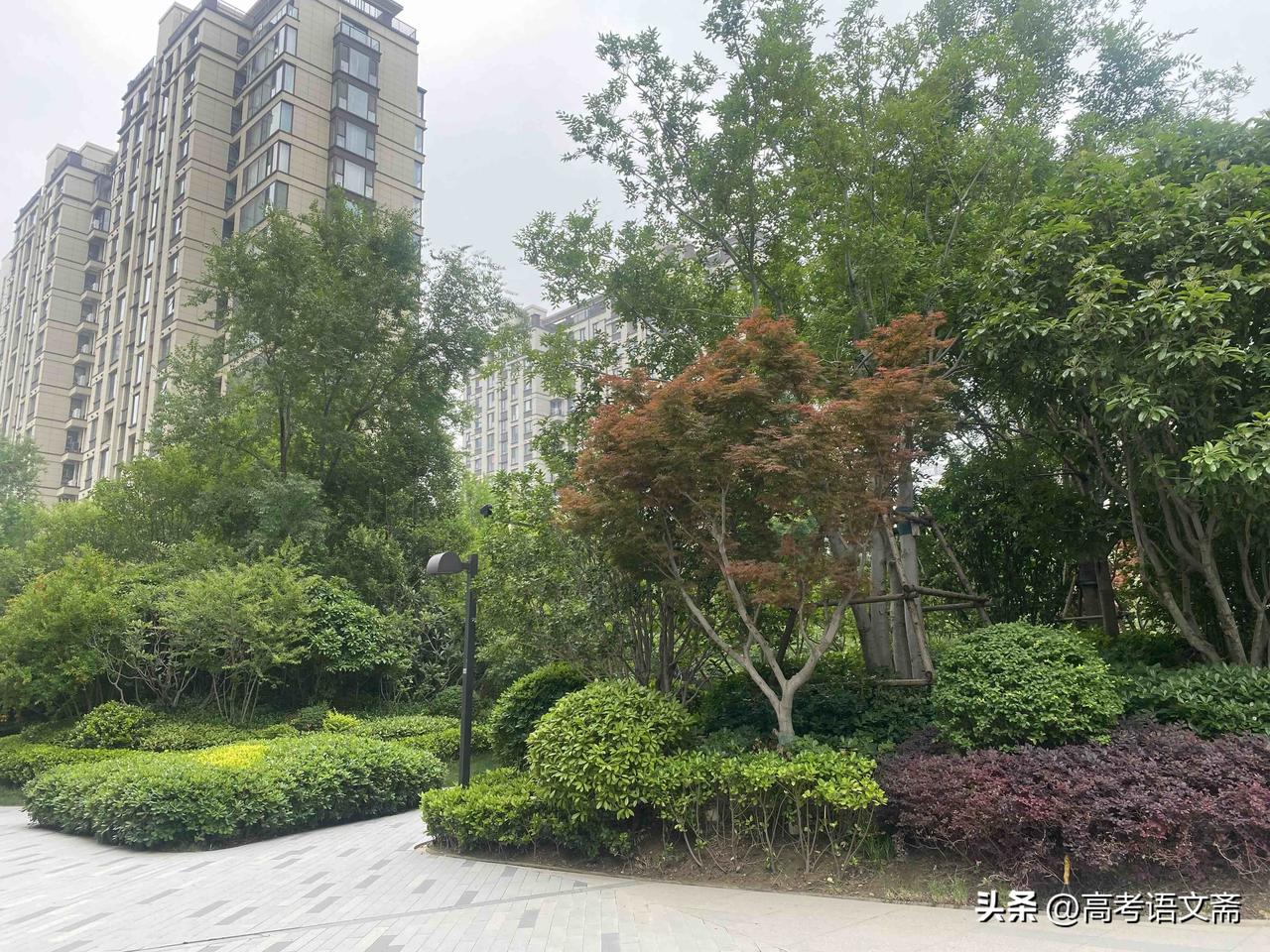 小径两旁，嫩绿的青草软绵绵地铺展开来，像是给大地铺上了一层绿色的绒毯。五彩斑斓的