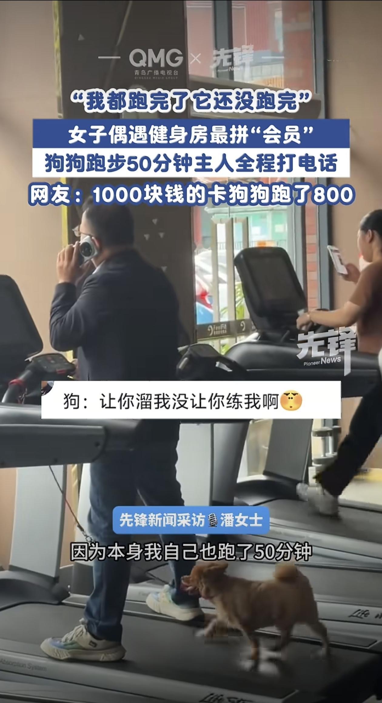 最近网上有个特别逗的视频火了，画面里一只小狗在跑步机上狂奔，小短腿倒腾得飞快，舌