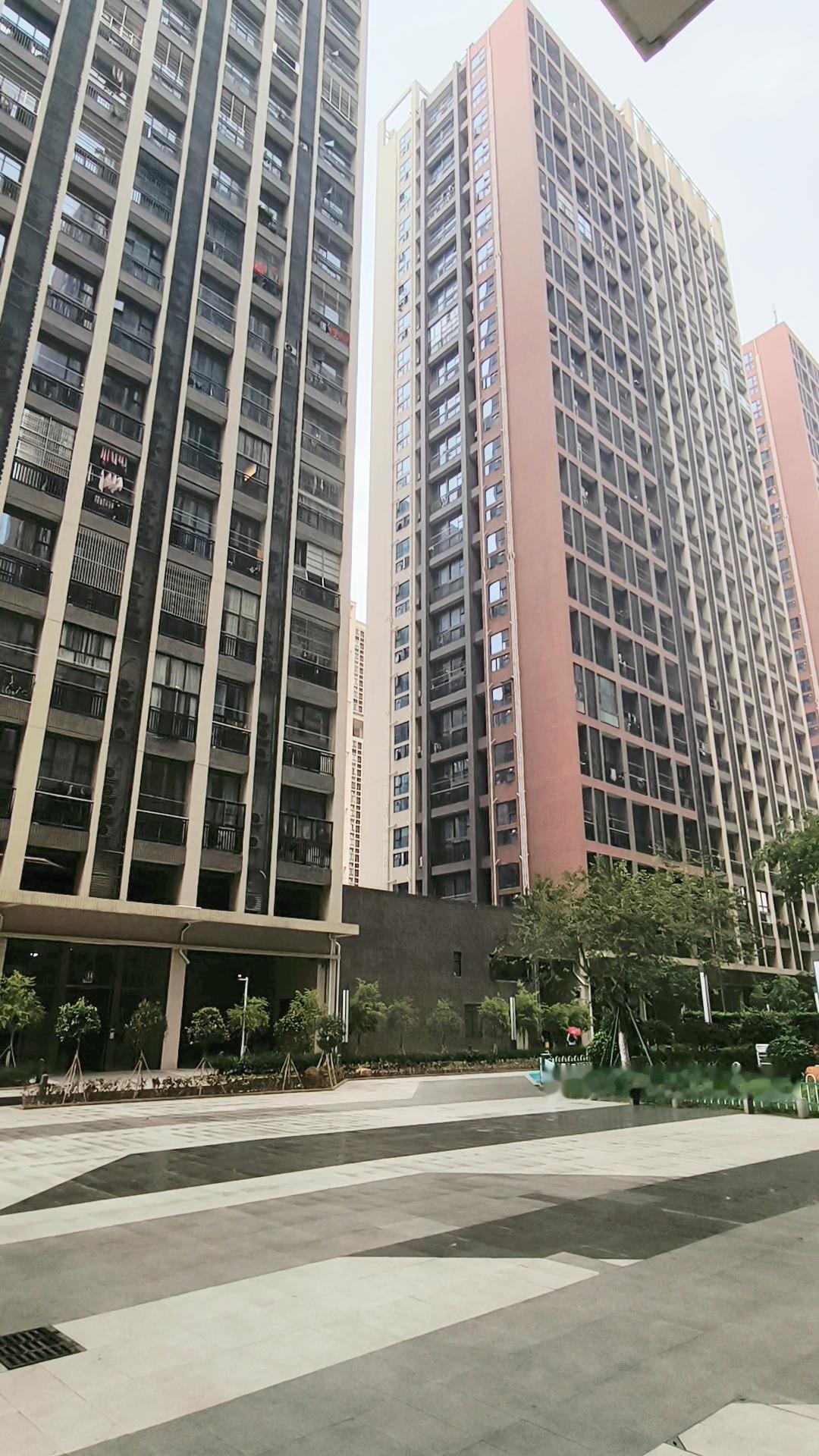 跑遍广州半个城，最后亲戚带我定了金沙洲：太值了！
从天河看到黄埔、从番禺看到白云