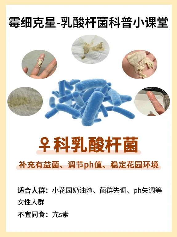 医学生/好用的乳酸杆菌测评，补菌才是王道