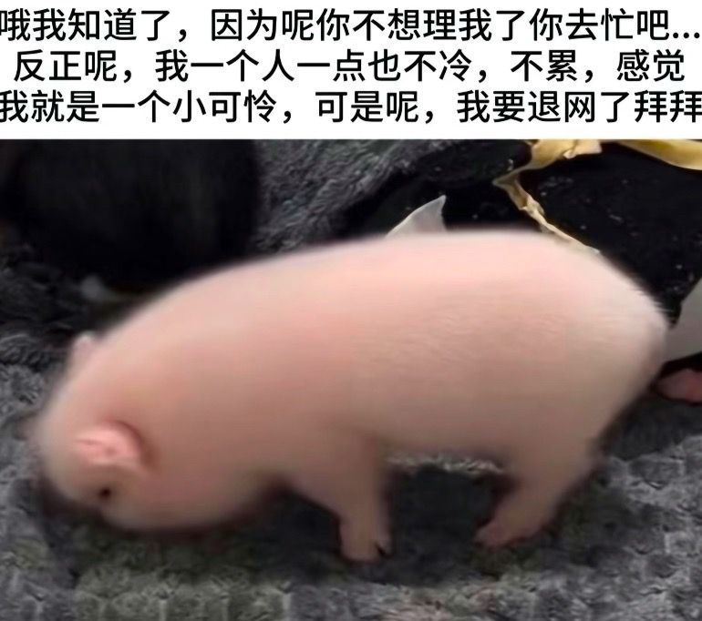 分享图片 