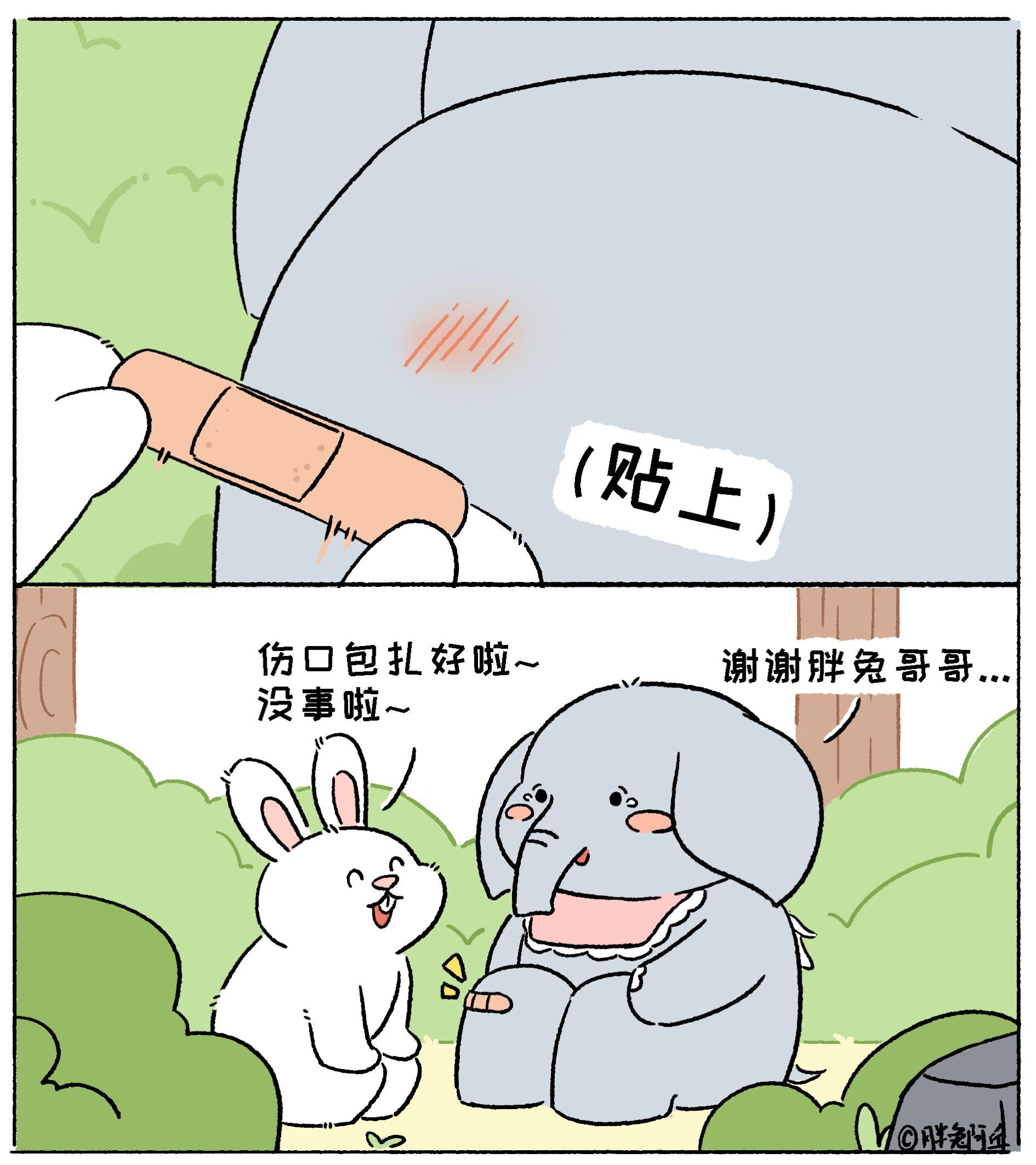 治愈系漫画 万万没想到 动物的迷惑行为 可爱 搞笑