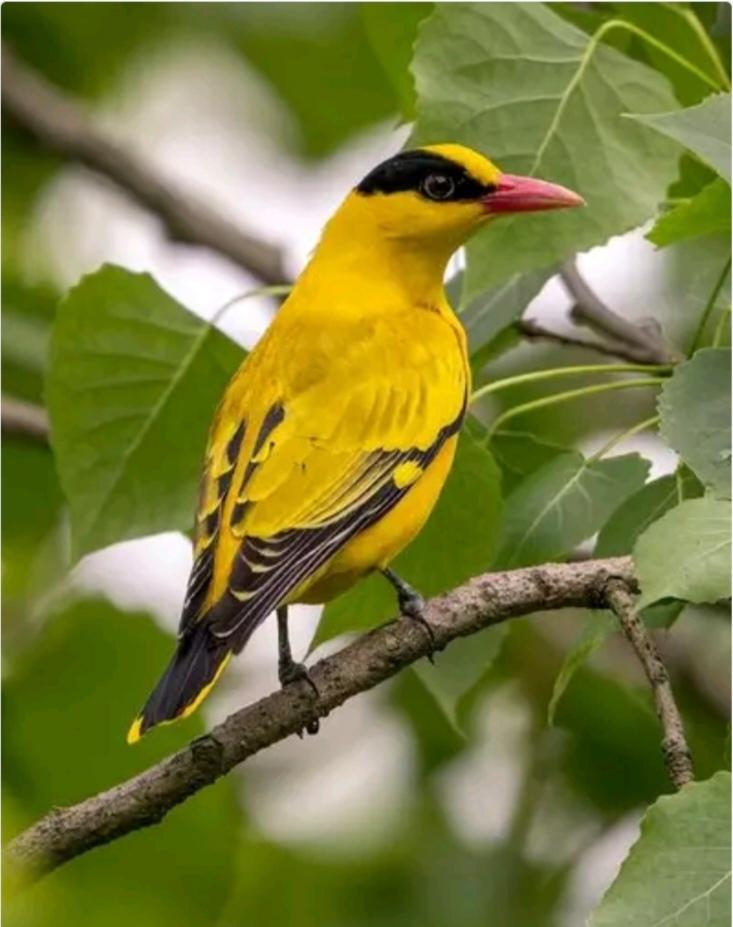 60岁时，自己已不再是家庭和社会的主角。无论过去过得好坏，都要学会放下。要忍受得